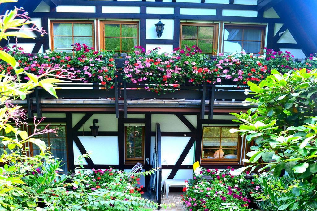 Haus Bachschwalbe Daire Sasbachwalden Oda fotoğraf
